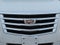 2019 Cadillac Escalade ESV Luxury